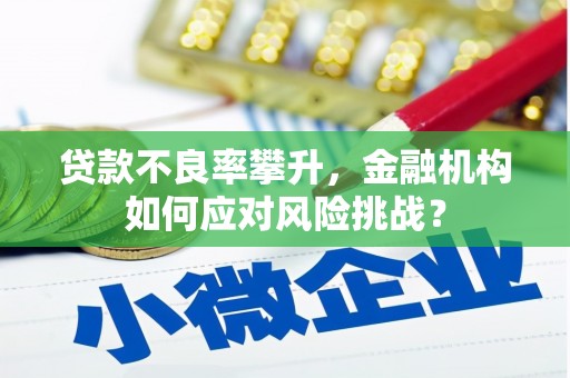 宾川贷款不良率攀升，金融机构如何应对风险挑战？