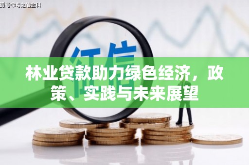 宾川林业贷款助力绿色经济，政策、实践与未来展望