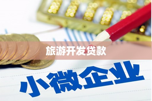 宾川旅游开发贷款