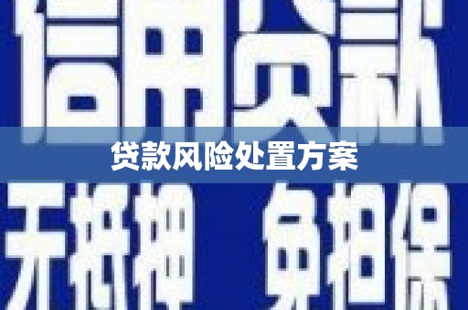 宾川贷款风险处置方案