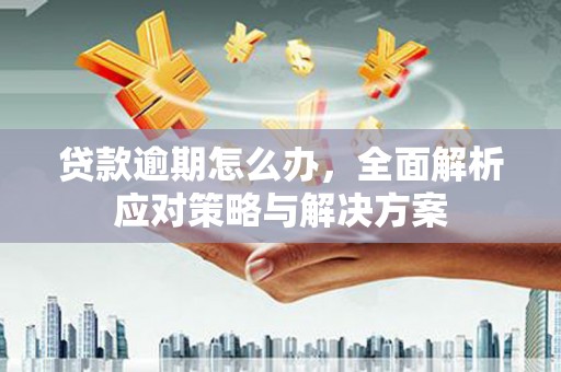 宾川贷款逾期怎么办，全面解析应对策略与解决方案