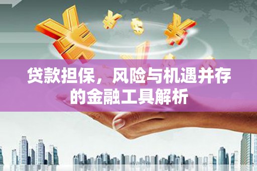 宾川贷款担保，风险与机遇并存的金融工具解析