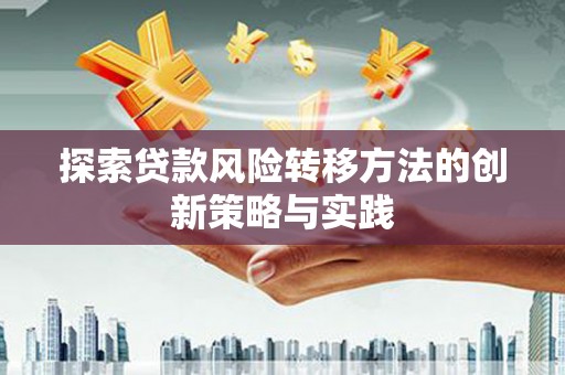 宾川探索贷款风险转移方法的创新策略与实践