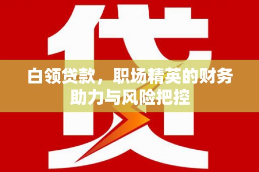 宾川白领贷款，职场精英的财务助力与风险把控