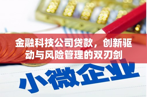 宾川金融科技公司贷款，创新驱动与风险管理的双刃剑